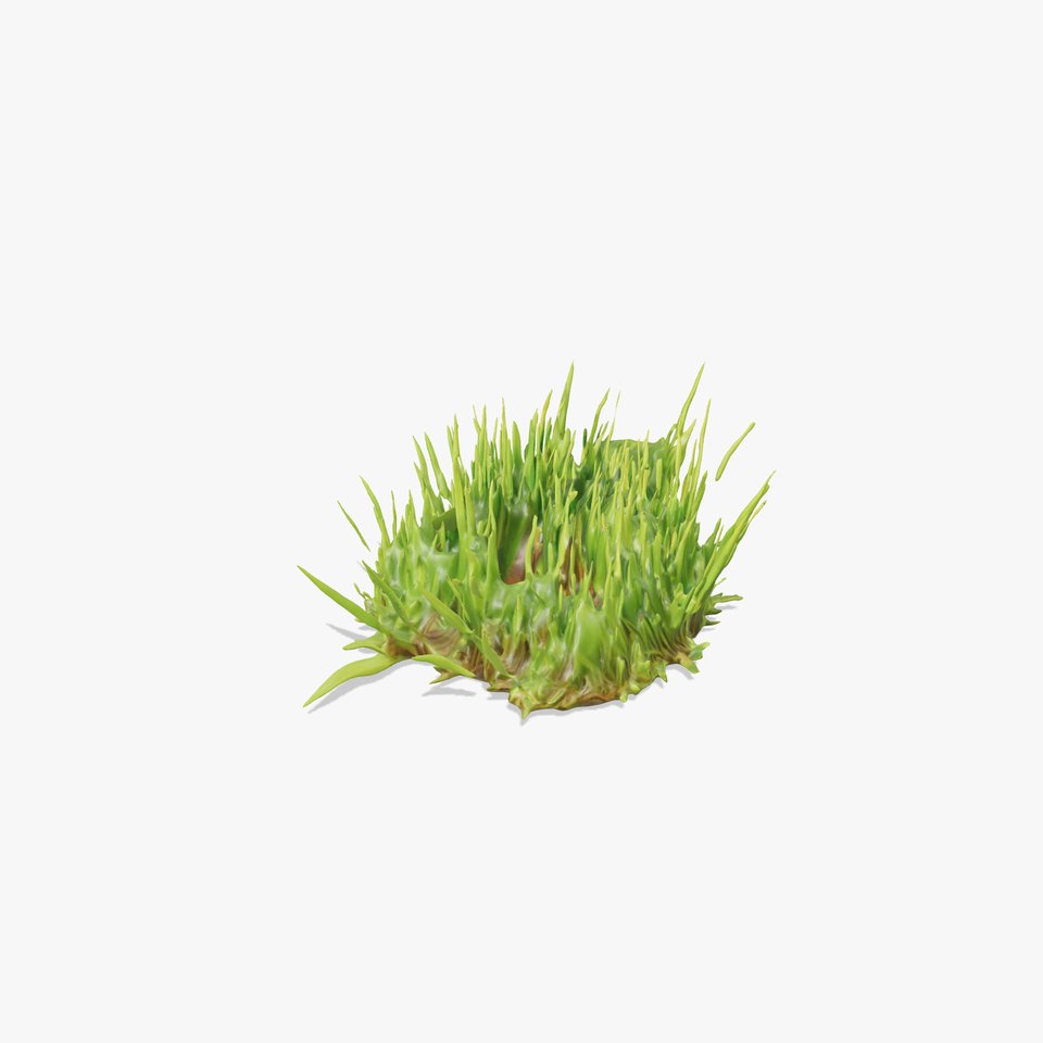 Lush Grass Foliage model pack
